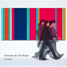 Fantasia of Life Stripe.jpg